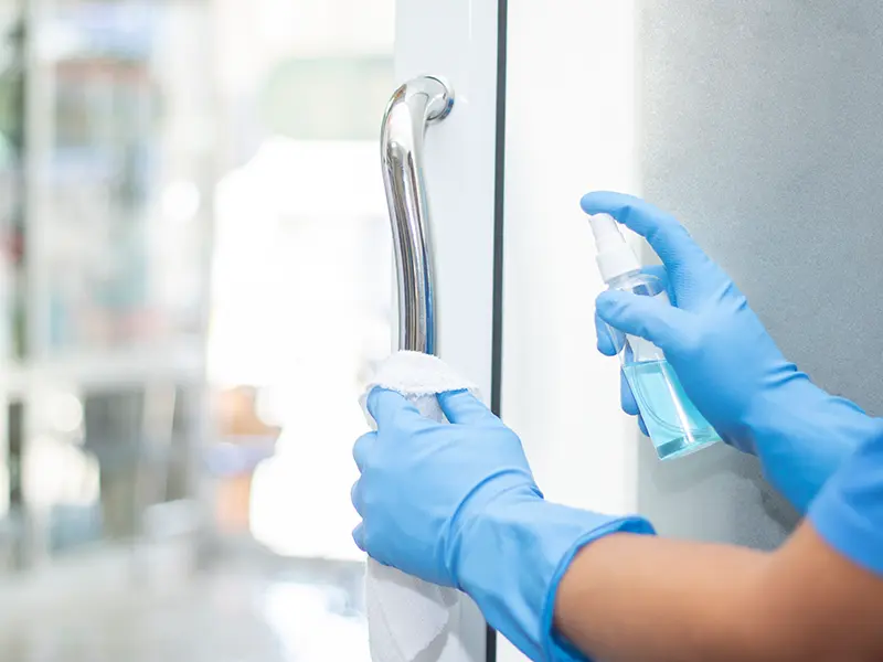 Iris Cleaning Services