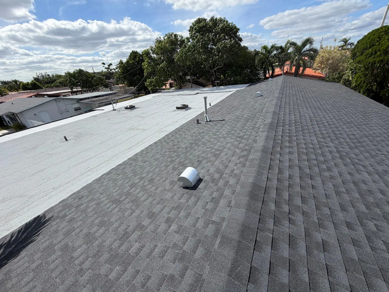 Roof Neglect
